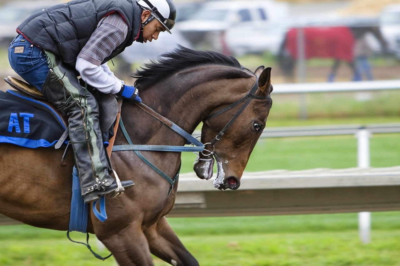 Carrera de Caballos