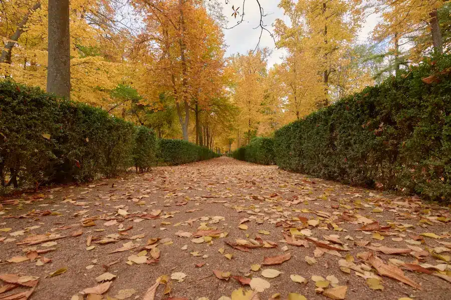 otoño en madrid